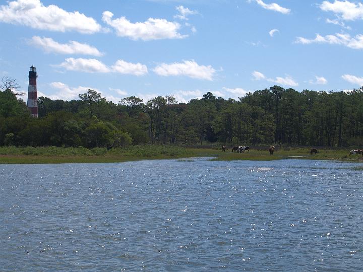 Chincoteague September 2007 002.JPG